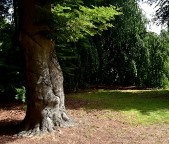 Giardini segreti Torino