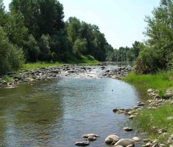 Riserva naturale speciale del Torrente Orba