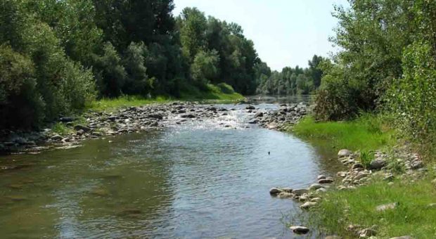 Riserva naturale speciale del Torrente Orba