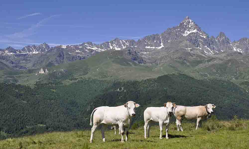 parchi naturali in Piemonte