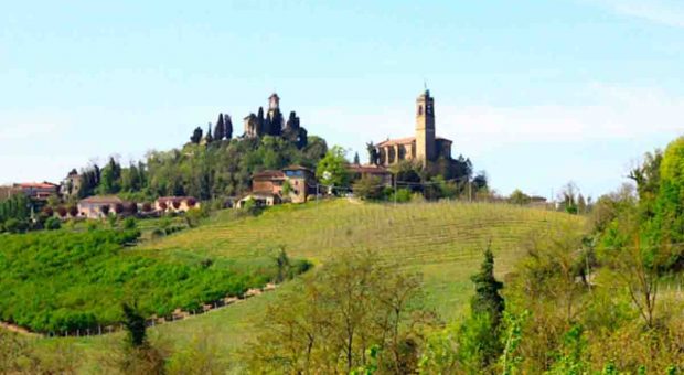 Vignale Monferrato